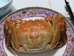 -新光酒家·河豚·海鲜·蟹料理(浦东店)