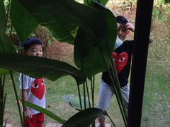 椰树岛海滩度假村-椰树岛海滩度假村