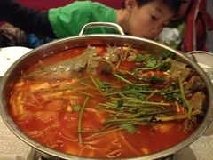 酸汤鱼-甲21号招待所