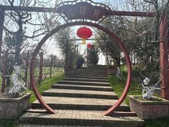 -上海海湾国家森林公园