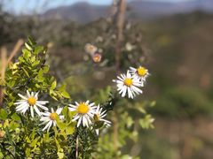-蟠龙山长城景区