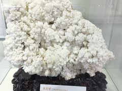 -中国第四纪冰川遗迹陈列馆