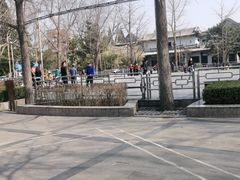 -团结湖公园