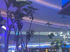-桂满陇·蟹黄小笼汤包(清河万象店)