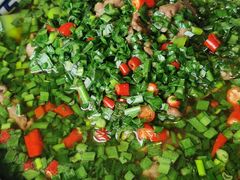 春色牛肉-樽宴酒楼·地道川菜·品质宴请