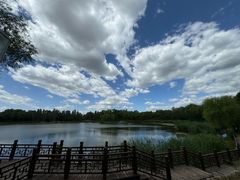 -北坞公园