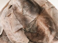 -凤来栖·净庭院·火锅(欧尚店)