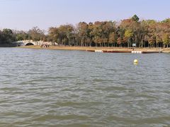 -上海海湾国家森林公园