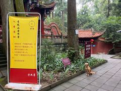 -都江堰普照寺