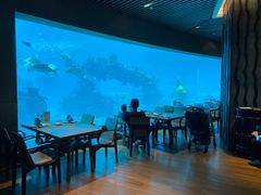 -海棠湾洲际-涛·海底餐厅·美人鱼·自助餐·海底隧道