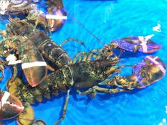 -盒马鲜生(莱蒙都会店)