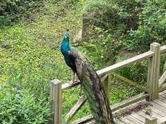 -苏州环秀晓筑养生度假村