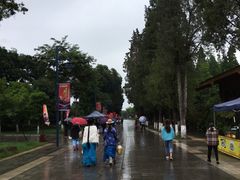 -云南民族村