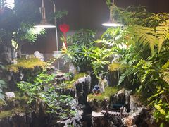 -雅苑中餐厅