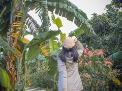 -园林美食城·本土农家菜(杨和镇店)