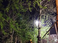 -天幕新彩云国际影城(激光巨幕店)