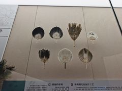 -中国扇博物馆