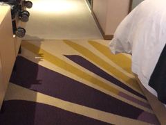 -麗枫酒店(深圳坪山高铁站龙东地铁站店)