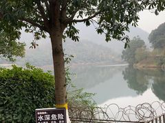 -桃花岭景区
