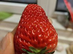 -欧亚春城购物中心(春城大街店)