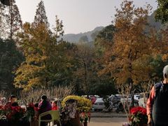 -礼耕堂·百年茶人餐厅(梅家坞店)