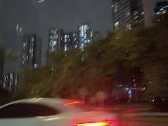 -黄埔华苑酒家(黄埔店)