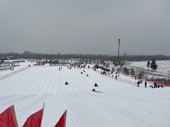 -绿野森林乐园冰雪季