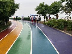 -贡湖湾湿地公园