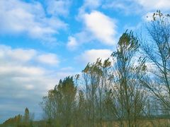 -卧龙湖