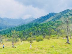 -硗碛藏寨·神木垒景区