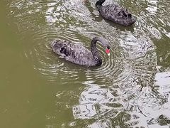 -御轩足道·SPA·养生·保健(瑞金北路店)