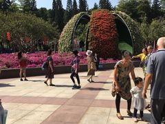 -广州雕塑公园