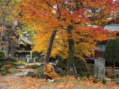 -医王山·飞騨国分寺