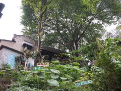 -懒鱼时光馆(沙坪坝店)