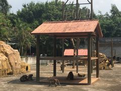 -广东茂名森林公园