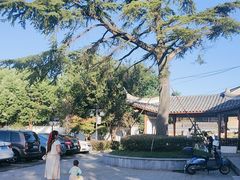 -双桥饭店(锦溪店)