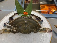 -海底捞火锅(天一广场亚细亚店)