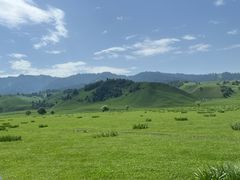 -新疆那拉提国家旅游度假区