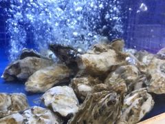 -香山湖渔家大院