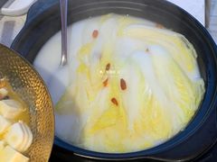 -喜上喜鸡煲翅(吉大店)