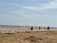 -日照海滨国家森林公园