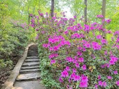 -南山风景名胜区