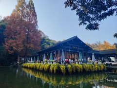 -杭州植物园