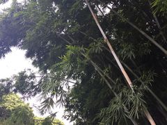 -月亮湾公园