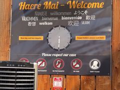 -怀托摩萤火虫洞