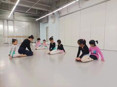 -舞蕾舞蹈·专注中国舞18年(天通苑中心校区)