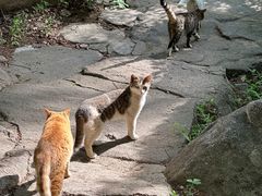 -崂山九水游览区