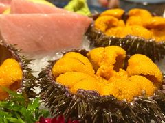 活海胆刺身-九酢·海鲜居酒屋