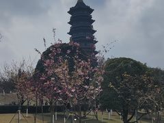 -重庆园博园