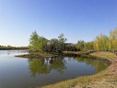 -东郊湿地公园